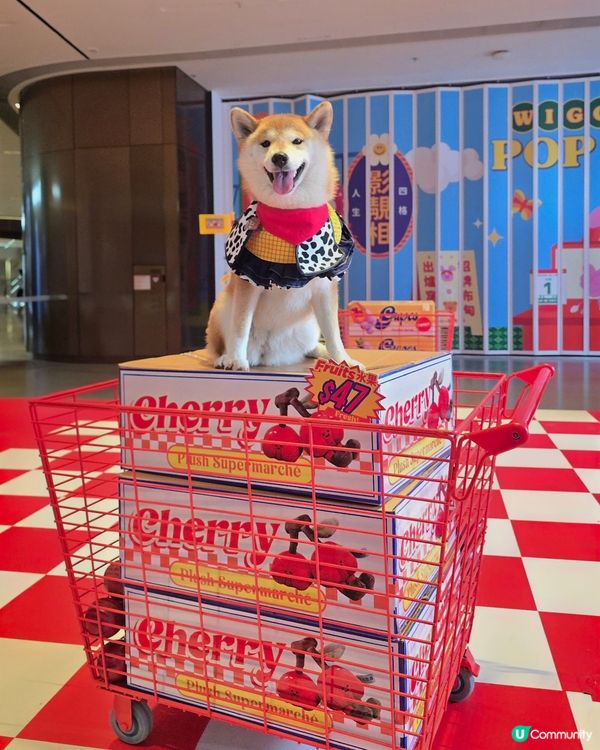 《Plush Supermarché》期間限定店