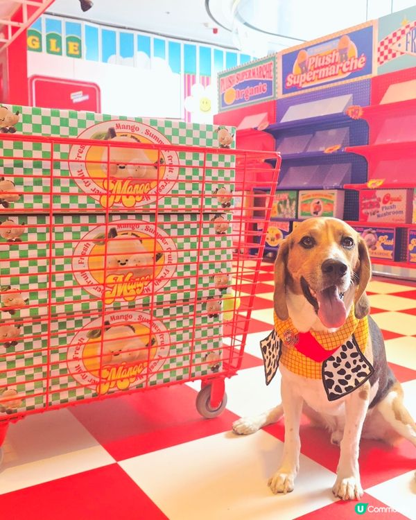 《Plush Supermarché》期間限定店