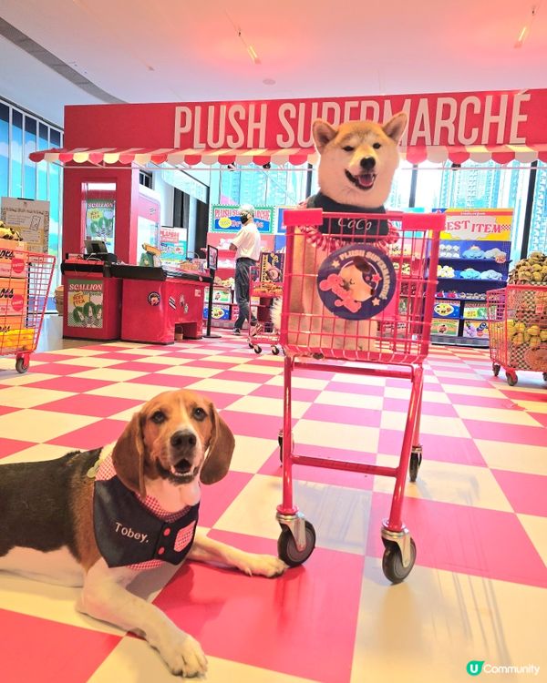 《Plush Supermarché》期間限定店