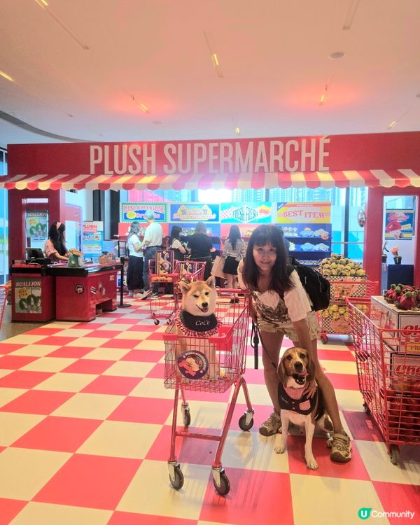 《Plush Supermarché》期間限定店
