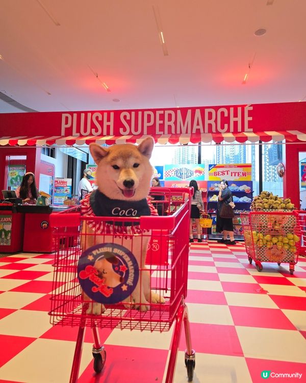 《Plush Supermarché》期間限定店