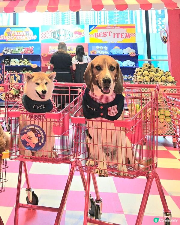 《Plush Supermarché》期間限定店