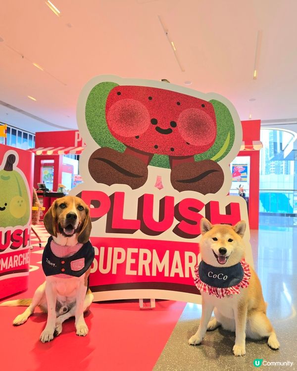 《Plush Supermarché》期間限定店