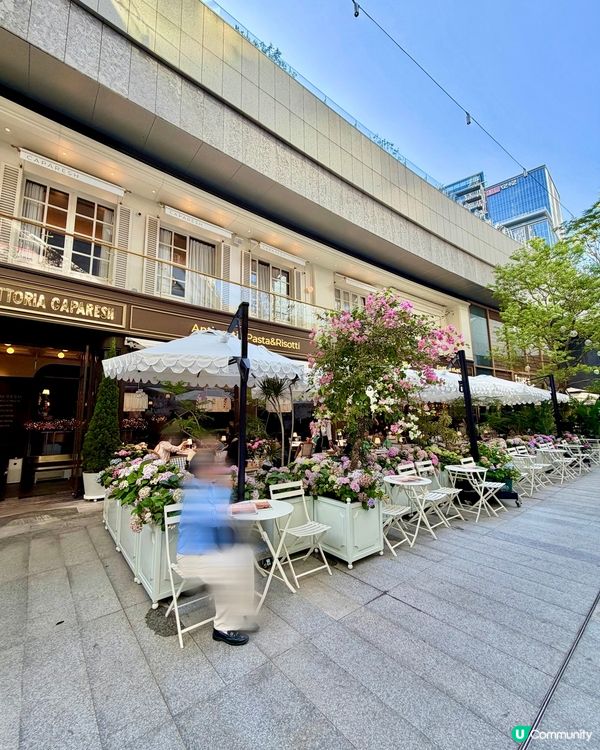 ✨深圳🇨🇳-💬⚠️聖誕節食意大利菜⁉️💢竟是網紅店..‼️✨