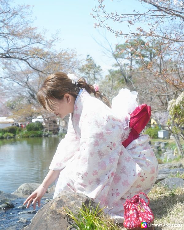 🇯🇵日本八阪神社🌸2024櫻花之旅😍🩷人像篇