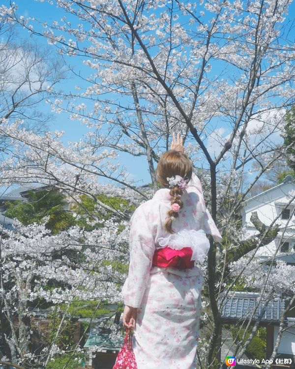 🇯🇵日本八阪神社🌸2024櫻花之旅😍🩷人像篇