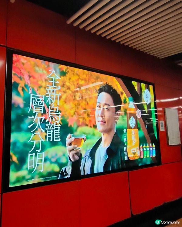 淳茶舍林峯地鐵燈箱廣告！🍵旺角巧遇🤩！打卡位攻略！🚇