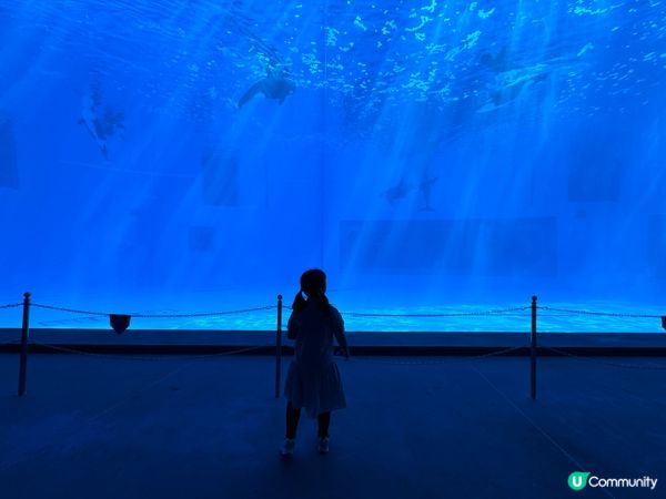 全網最抵長隆暑假樂園住宿優惠總覽 7月入住送早餐