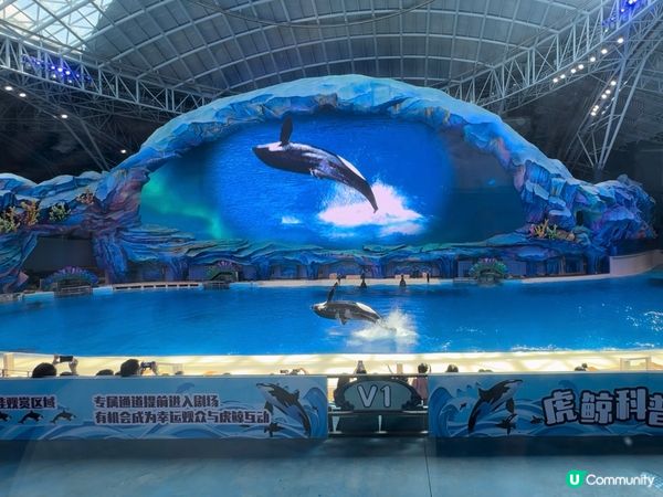 全網最抵長隆暑假樂園住宿優惠總覽 7月入住送早餐