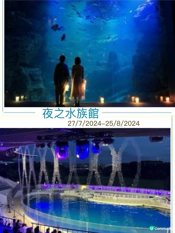 夜之水族館