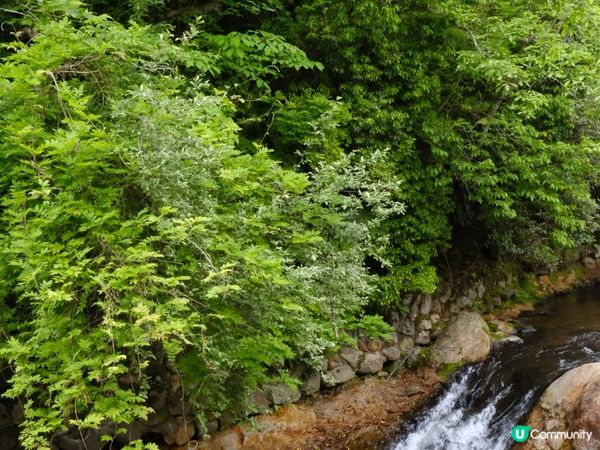 黑川溫泉山上的日式別墅 - 山花水木別邸 深山山莊 🏠🌳