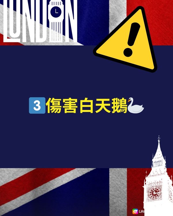 🇬🇧英國旅遊禁忌⚠️傷害呢種動物隨時坐半年監😱