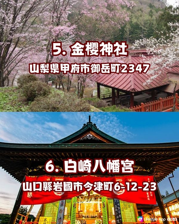 6大櫻花季必到神社⛩️超美蕾絲/粉色神結御守😍🌸拜埋龍王神！🐲