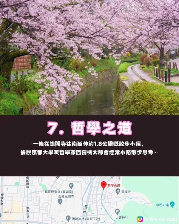 日本京都8大賞櫻熱點🌸附輕鬆一日遊路線😍免費為主✨建議收藏