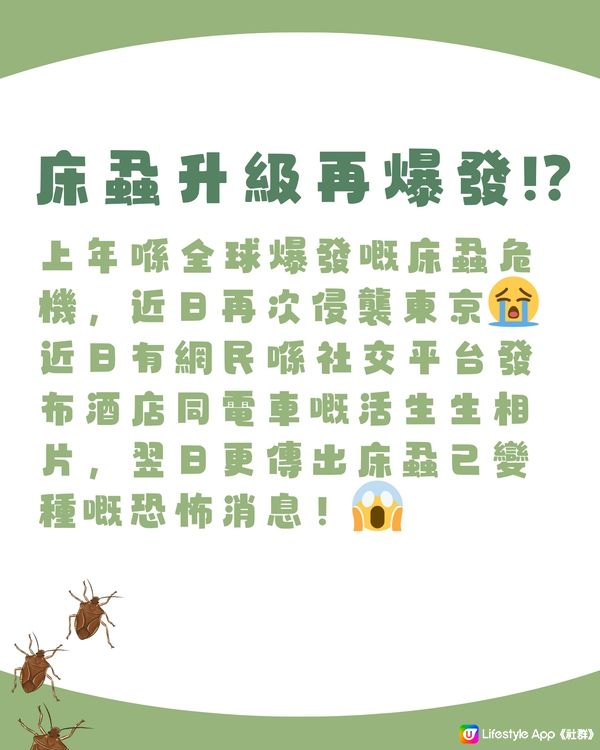 日本新聞懶人包‼️全部旅客相關‼️不只是床蝨😰仲有⭕️⭕️避坑必看🇯🇵