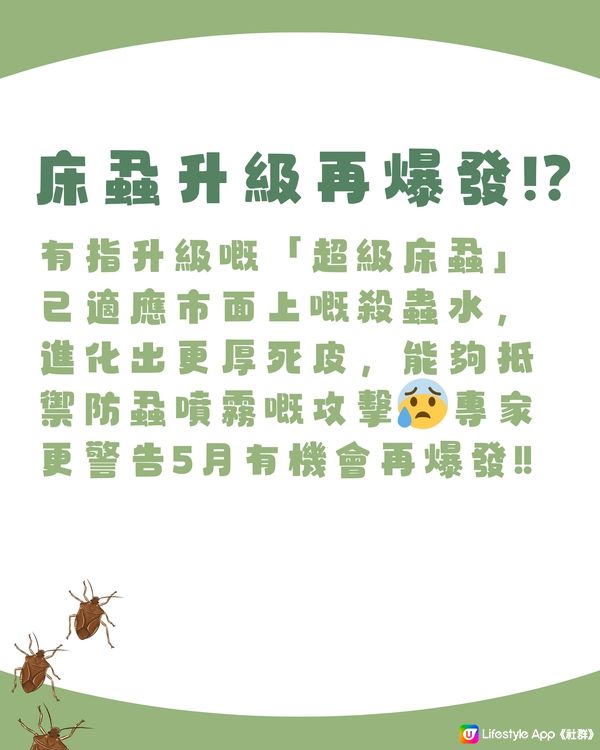 日本新聞懶人包‼️全部旅客相關‼️不只是床蝨😰仲有⭕️⭕️避坑必看🇯🇵