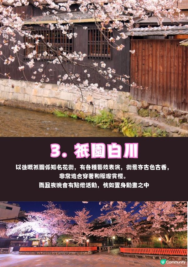 日本京都8大賞櫻熱點🌸附輕鬆一日遊路線😍免費為主✨建議收藏