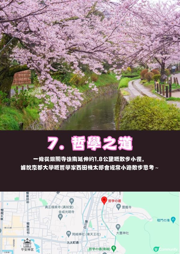 日本京都8大賞櫻熱點🌸附輕鬆一日遊路線😍免費為主✨建議收藏