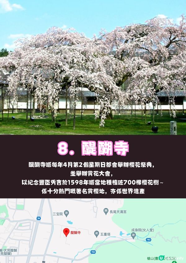 日本京都8大賞櫻熱點🌸附輕鬆一日遊路線😍免費為主✨建議收藏