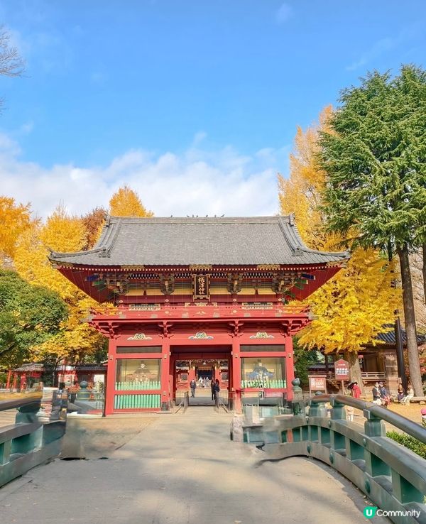 根津神社銀杏🍁！江戶風情超好影📸！