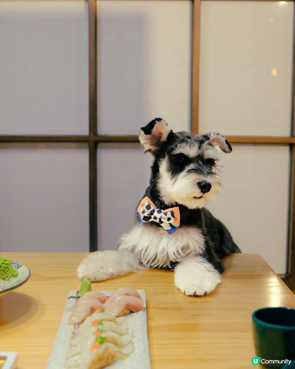 隱世日式包廂！帶狗狗一齊食壽司🍣
