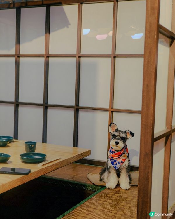 隱世日式包廂！帶狗狗一齊食壽司🍣