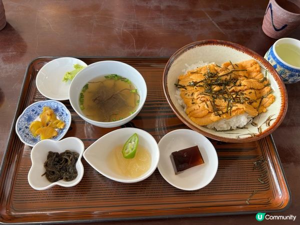 沖繩美食！必食海膽滿滿既しらさ食堂