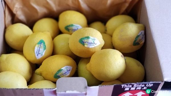 近來天氣開始乾燥，容易出現咽喉乾涸、聲沙、口乾唇乾等問題。自...