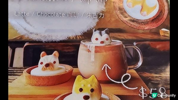 Thre 3 concept呢間嘢，真係無得頂，有堅持嘅ca...