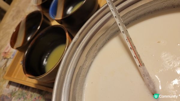 【零失敗 】甜品篇 ｜薑汁撞奶