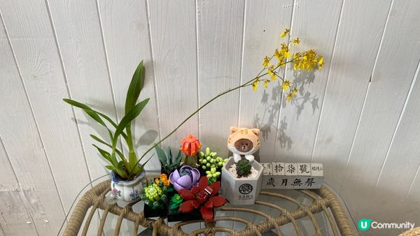 來一杯平白, 屯門小店