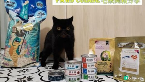 自從閨蜜去左英國之後，我就擔起女皇的露才一職， 