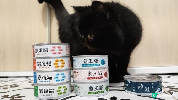 自從閨蜜去左英國之後，我就擔起女皇的露才一職， 