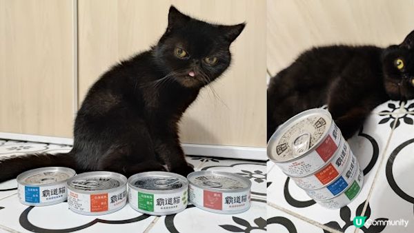 自從閨蜜去左英國之後，我就擔起女皇的露才一職， 