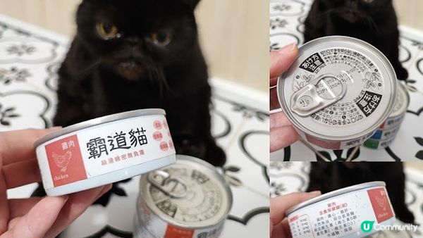 自從閨蜜去左英國之後，我就擔起女皇的露才一職， 