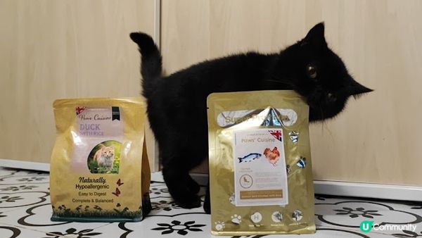 自從閨蜜去左英國之後，我就擔起女皇的露才一職， 