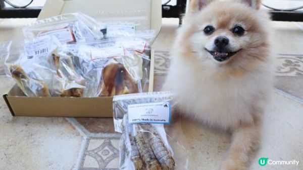 毛孩就是我們的心肝寶寶兒，他們吃的用的都要經過好好挑選～