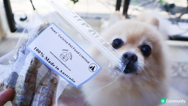 毛孩就是我們的心肝寶寶兒，他們吃的用的都要經過好好挑選～