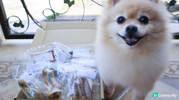 毛孩就是我們的心肝寶寶兒，他們吃的用的都要經過好好挑選～