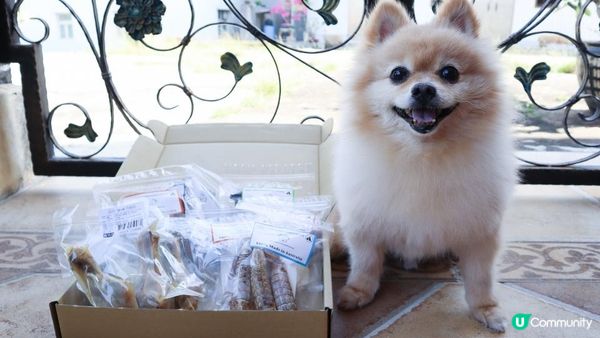 毛孩就是我們的心肝寶寶兒，他們吃的用的都要經過好好挑選～