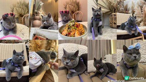 大家好我叫華田呀🥤凍熱都可以任你簡💚