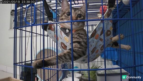 強而有力的臂彎💪🏾，其實你粗壯的手臂，爸爸媽媽都有，等我地去...