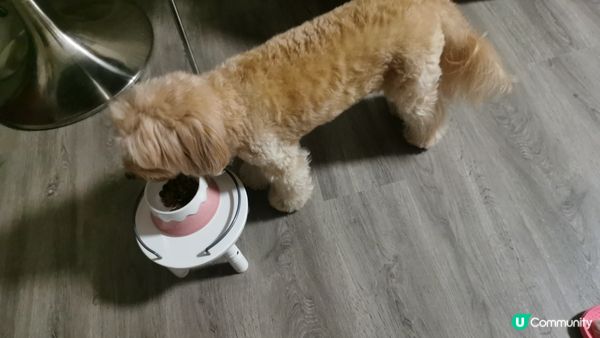 🍭：我叫波板糖妹妹，但人人都叫我做趣怪妹妹。。