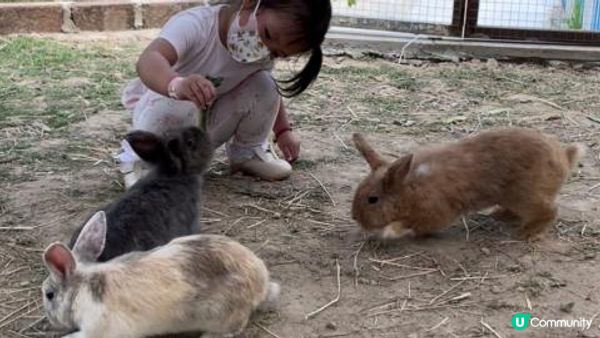 復活節🐣就快到啦，我地提早同Marine去農莊見下唔同顏色既...