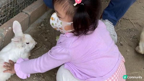 復活節🐣就快到啦，我地提早同Marine去農莊見下唔同顏色既...