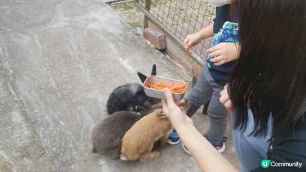 由佢出世就好想帶隻小魔怪去餵下小動物