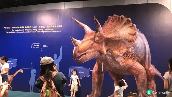 香港科學館的「香港賽馬會呈獻系列：八大‧尋龍記」展覽原定11...