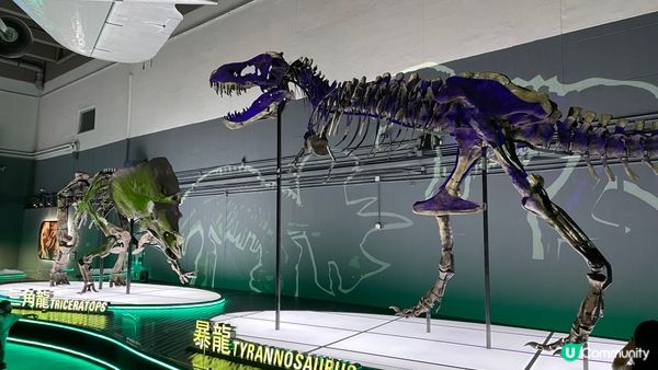 香港科學館的「香港賽馬會呈獻系列：八大‧尋龍記」展覽原定11...