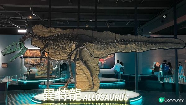 香港科學館的「香港賽馬會呈獻系列：八大‧尋龍記」展覽原定11...