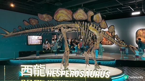 香港科學館的「香港賽馬會呈獻系列：八大‧尋龍記」展覽原定11...